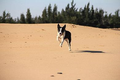 米哈游新作《崩坏：星穹铁道》公布最新预告片